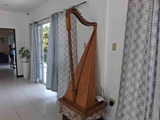 place photo 26