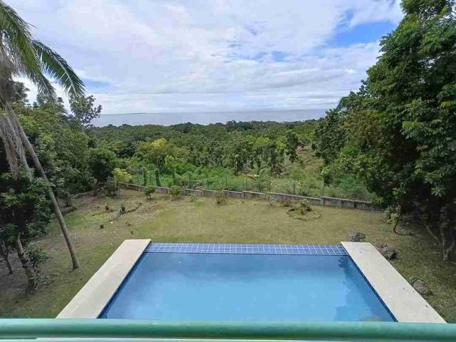 place photo 39