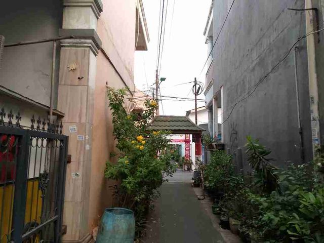 place photo 4