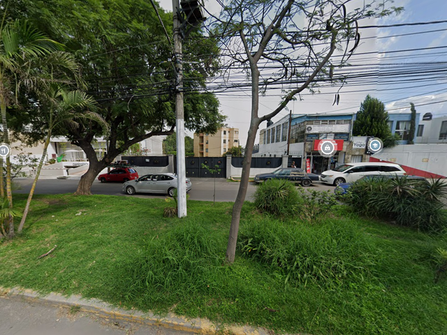 place photo 7