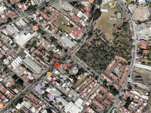 place photo 12