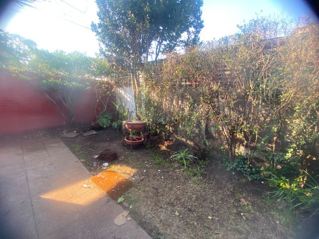 place photo 39