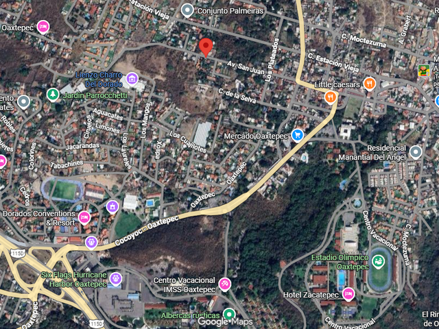 place photo 22