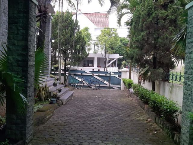 place photo 17