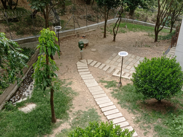 place photo 18