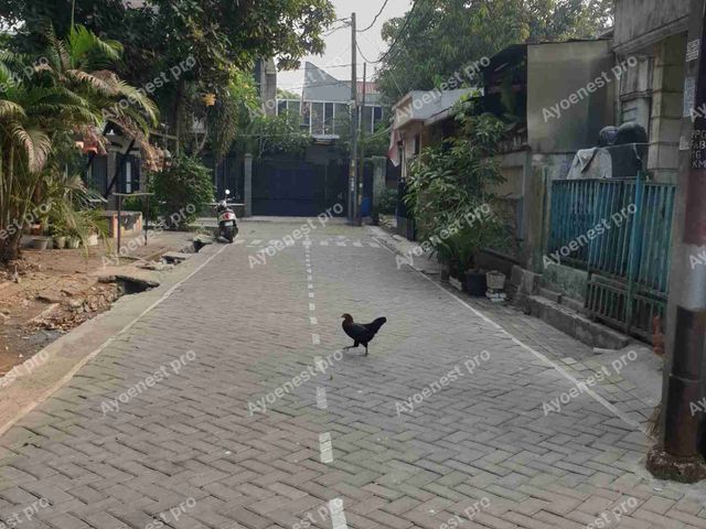 place photo 10