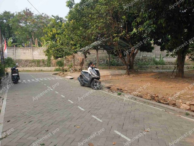 place photo 11