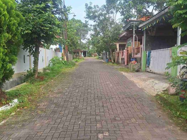place photo 3