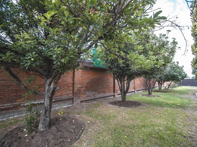 place photo 71