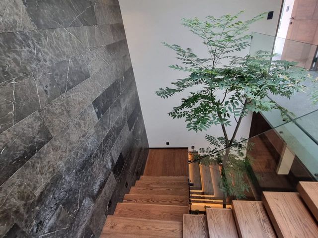 place photo 52