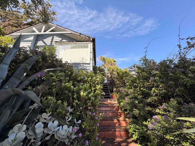 place photo 23