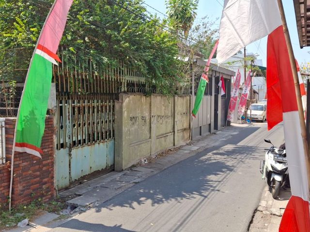 place photo 11