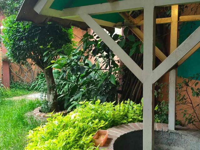 place photo 23