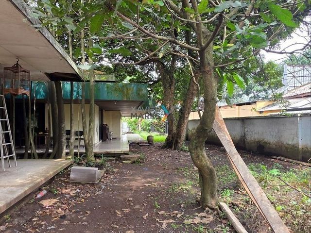 place photo 19