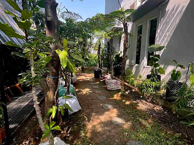 place photo 31