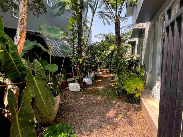 place photo 35