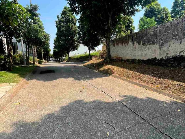 place photo 36