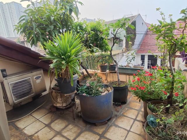 place photo 18