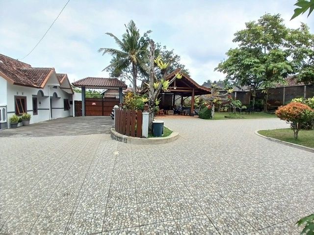 place photo 17