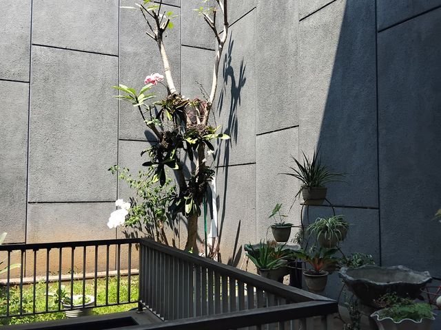 place photo 41
