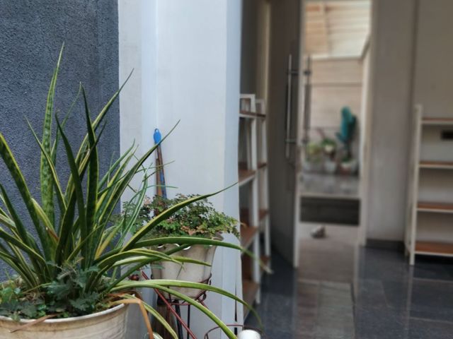 place photo 46