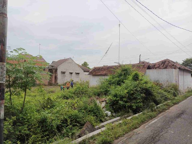 place photo 8