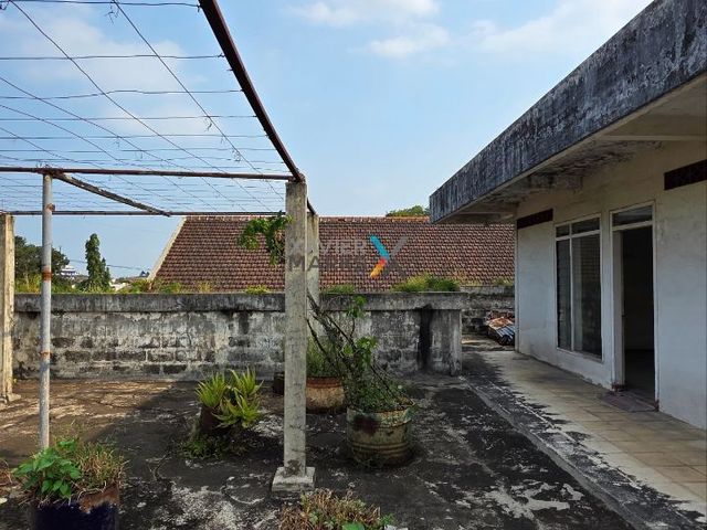place photo 20
