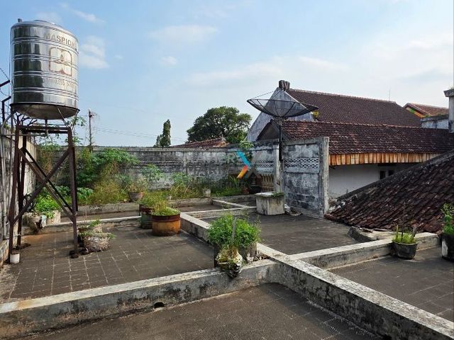 place photo 19