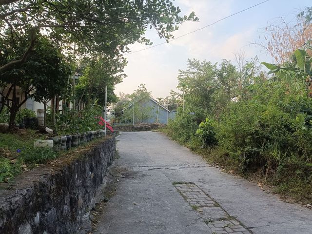 place photo 5