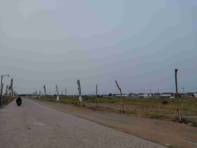place photo 11