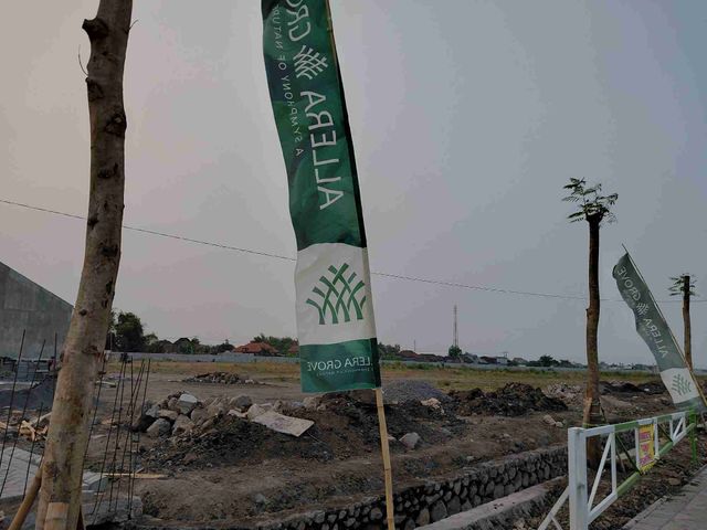 place photo 12