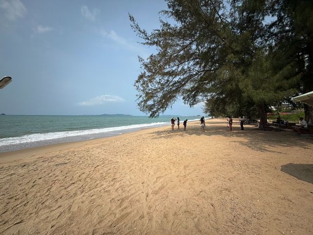 place photo 30