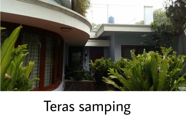 place photo 12