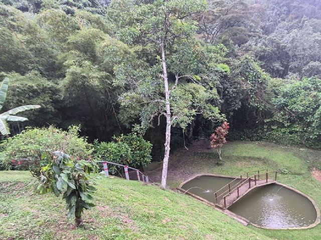 place photo 81