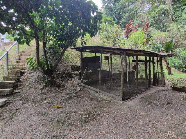 place photo 83
