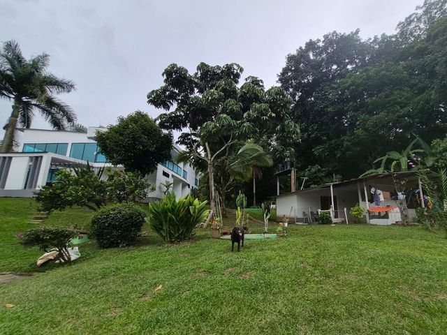 place photo 88