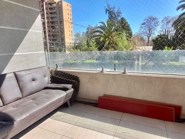place photo 37