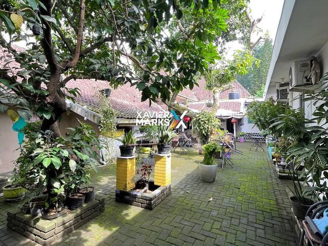place photo 13