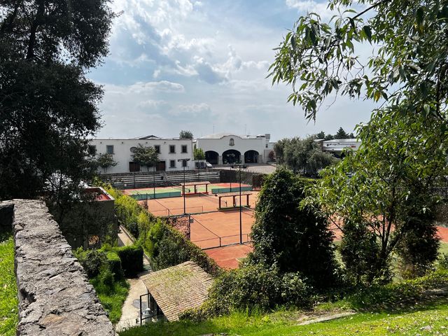 place photo 19