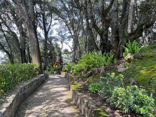 place photo 20