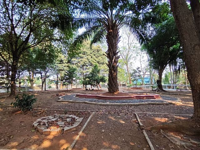 place photo 16