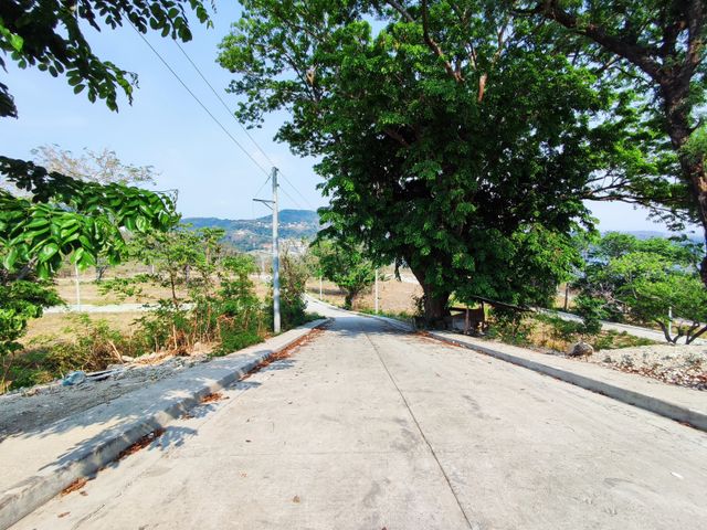 place photo 17