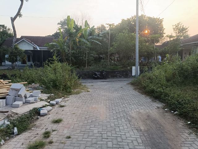place photo 6