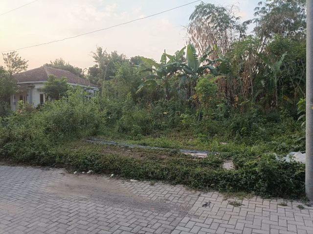 place photo 7