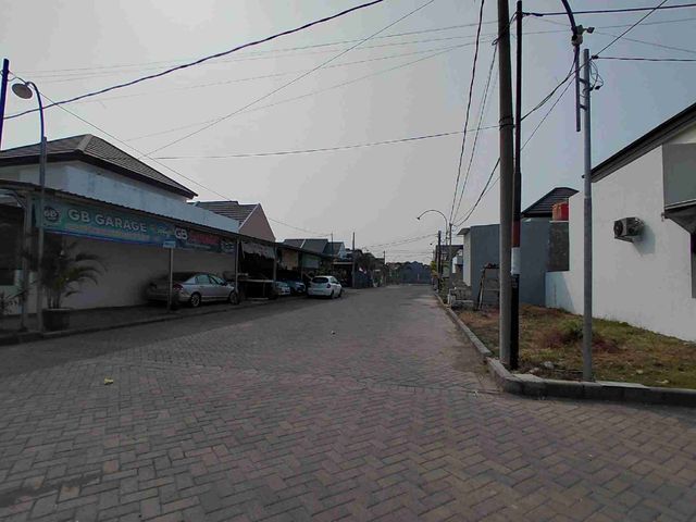 place photo 14
