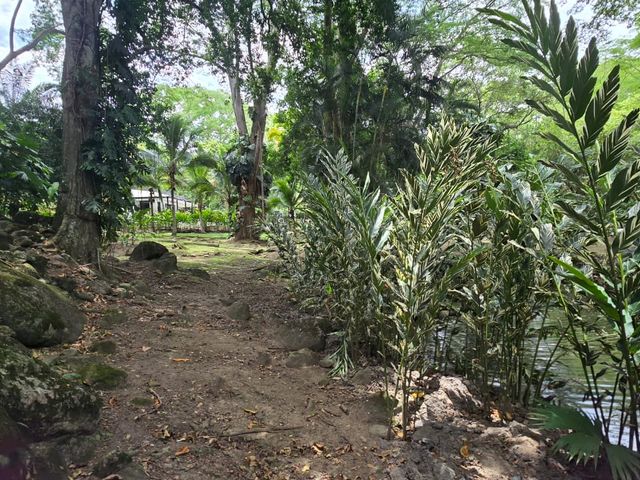 place photo 27