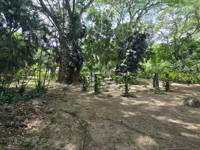 place photo 30