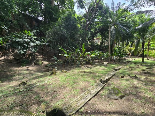 place photo 29