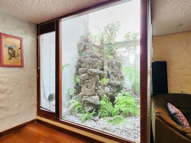 place photo 48