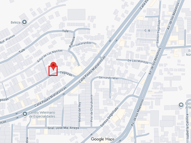 place photo 12